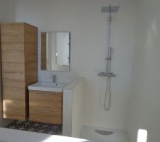 Salle de bain / douche