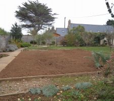 Le potager que j'ai nettoyé samedi 22 octobre 2016