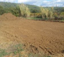 Plateforme
