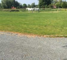 Terrain de la future maison