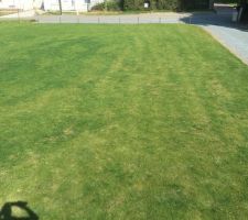 Terrain future construction