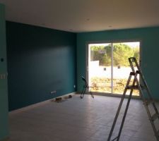 Salon turquoise - le mur télé est d'un vert-bleu plus sombre