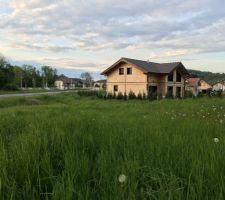 Vue de la maison avec cypres