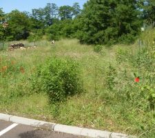 Limite droite du terrain et mon fils et moi dans le coin gauche !