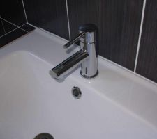 Robinet (mod&egrave;le Selma de chez Leroy Merlin)