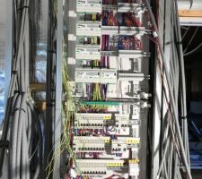 Début du montage du tableau elec + domotique. 152 gaines à gérer...