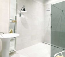 Geostone levigato bianco sol
60 60
