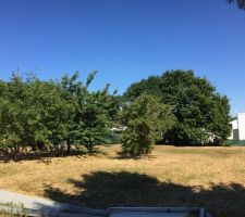 Avant que &ccedil;a commence...