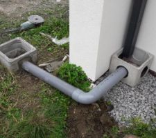 Connexion de l'eau pluviale au réseau de drainage périphérique