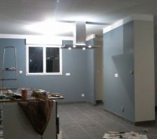 Hotte ilot silverline