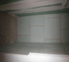 Les 2 cloisons en carreaux de plâtre formant le WC