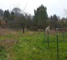 Terrain avant terrassement