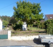 Terrain avant terrassement