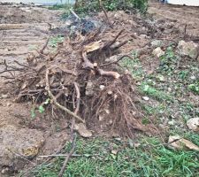 Démolition du muret qui n'était pas en limite de propriété