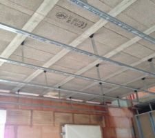 Raillage plafond du RDC