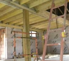 Création de un mezzanine espace jeux enfants et chambre d'hôte ami