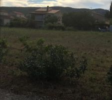 Visite du terrain