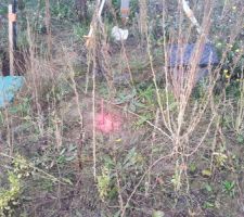 Le point haut de la tige rose ce sera le niveau du carrelage !