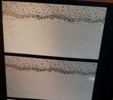 Selection du carrelage mural SDB et WC