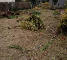 Terrain en cours de rafraichissement