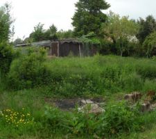 Avant d&eacute;frichement et d&eacute;molition du b&acirc;timent