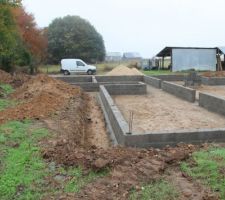 Une journée sans venir et voila le résultat. Super