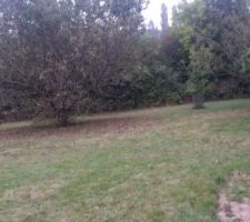 Yvelines terrain de la construction en cours de division