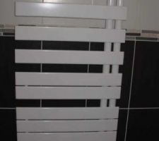 S&egrave;che serviette