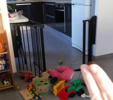 Mon actuelle "petite" barrière. Qui n'a de petite que son passage. Elle est pas si petite que ça finalement