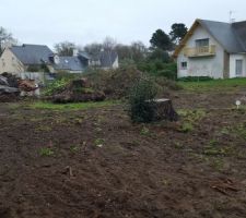 D&eacute;racinement et nettoyage du terrain