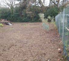 On a supprim&eacute; la haie...on a d&eacute;plac&eacute; un olivier d&eacute;ja present
et on replantera d&egrave;s que la maison sera construite