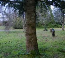 Accès boisé à notre terrain