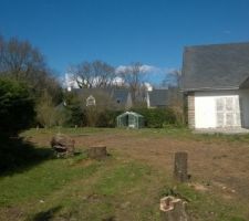 Début de la coupe des arbres