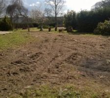 Début de la coupe des arbres