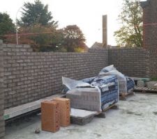 Brique platina de chez Vandersanden joints fonc&eacute;s.
le rendu est comme esp&eacute;r&eacute; et c'est tant mieux.