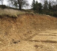 Te terrain va t il se tenir seul?