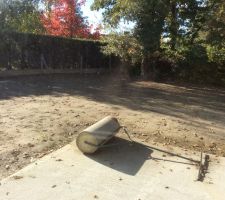 Jardin, Pelouse en cours