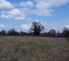 Voici le terrain avant le début des travaux de voirie du lotissement