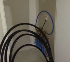 Nourrices installées.