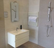 Carrelage de salle de bain parents