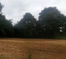 Notre terrain, nu, tout juste défriché
