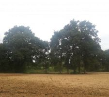 Notre terrain, nu, tout juste défriché