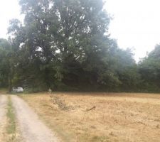 Notre terrain, nu, tout juste d&eacute;frich&eacute;