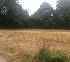 Notre terrain, nu, tout juste d&eacute;frich&eacute;