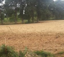 Notre terrain, nu, tout juste d&eacute;frich&eacute;