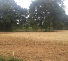 Notre terrain, nu, tout juste d&eacute;frich&eacute;