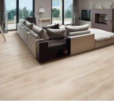 Carrelage validé. Ca sera imitation parquet pour un rendu chaleureux