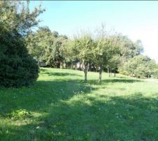 Photo de l'annonce de notre futur terrain