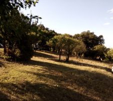 Vue cot&eacute; sud est du terrain.