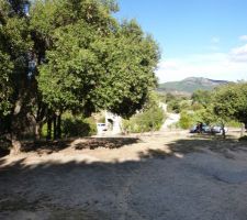 Vue sur le haut du terrain.